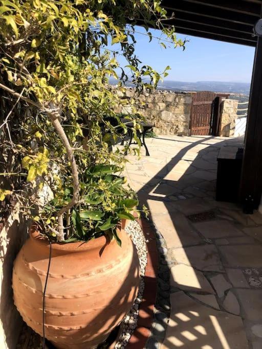 'I Folia' Village House With Roof Garden And Terrace Pissouri Exterior foto